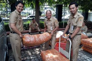 Ganjar Instruksikan PNS Beli Cabai Petani