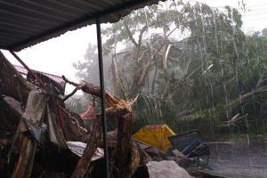 Hujan Disertai Angin Kencang, Belasan Pohon Sleman Tumbang