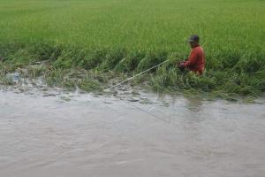 Banjir Klaten, BBWS Bengawan Solo Alokasikan Rp20 Miliar