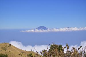 Jalur Pendakian Gunung Merbabu Ditutup per 20 Mei