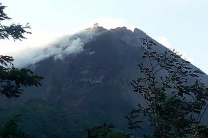 Lereng Gunung Merapi Terbakar