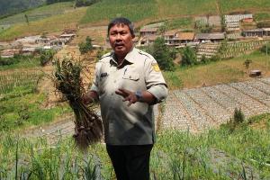 Ekspor Naik, Produk Hortikultura Indonesia di Jalur Hijau