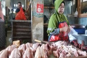 Jelang Puasa, Harga Ayam di Solo Turun