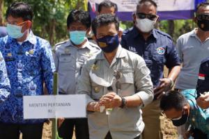 Kementan Garap 1.000 Hektare Lahan Porang di Kabupaten Pangkep
