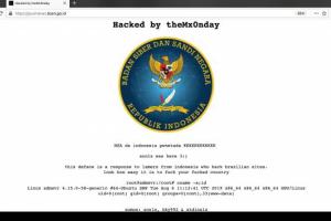 Situs Badan Sandi Diretas, Hacker Mengaku dari Brazil