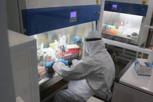 Harga PCR Lebihi Ketentuan, Siap-siap Izin Usaha Dicabut Pemerintah