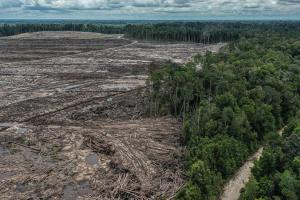 Greenpeace Sebut Indoneisa Tidak Ada Komitmen Serius Tangani Perubahan Iklim