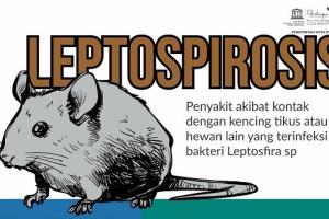 Kasus Leptospirosis Tinggi, Dinkes Bantul Imbau Masyarakat Tingkatkan PHBS