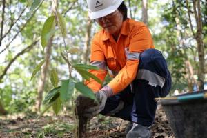 Prioritaskan Pekerja Lokal, PT Agincourt Resources Sejahterakan Lingkungan Sekitar Tambang
