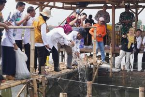 Pemkab Batang Budidayakan Ikan Kerapu Cantang di Lahan yang Terendam Rob