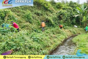 Konservasi Lahan Kritis, DPRKPLH Temanggung Tanam Pohon di Desa Krawitan