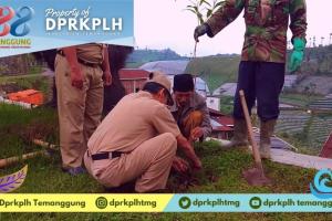 Konservasi Lahan Kritis, DPRKPLH Temanggung Salurkan 1.065 Bibit di Desa Campurejo