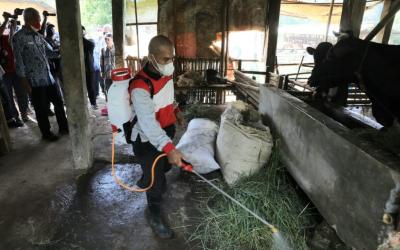 Penyakit Mulut dan Kuku Ditemukan di 13 Daerah, Pemprov Jateng Berikan Pendampingan Peternak