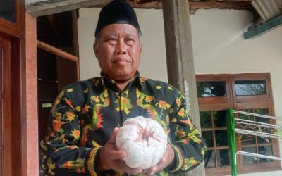 Anggota DPRD Kabupaten Pati pamer keunggulan jeruk pamelo