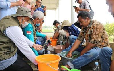 M Nur Sukarno bujuk petani Kabupaten Pati gunakan Pupuk Biosaka