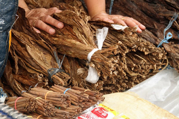 Petani Mengeluh Harga Tembakau Rendah