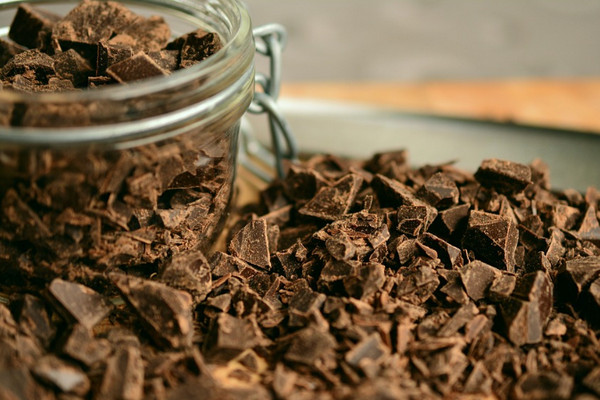 Libatkan UGM Genjot Produksi Kakao