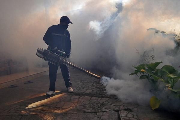 Jangan Berharap 'Fogging' untuk Cegah DBD