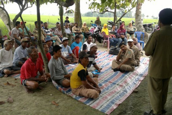 Jokowi Janjikan 17 Ribu Penyuluh Pertanian Jadi PNS