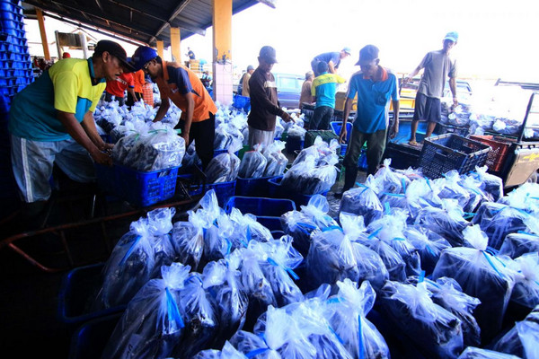 Dalih Efisiensi, TPI Kota Pekalongan Digabung