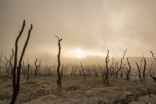 Kemarau, 360 Desa di Jateng Terancam Kekeringan