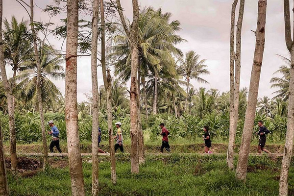 Besok, Peserta Borobudur Marathon 2019 Diumumkan