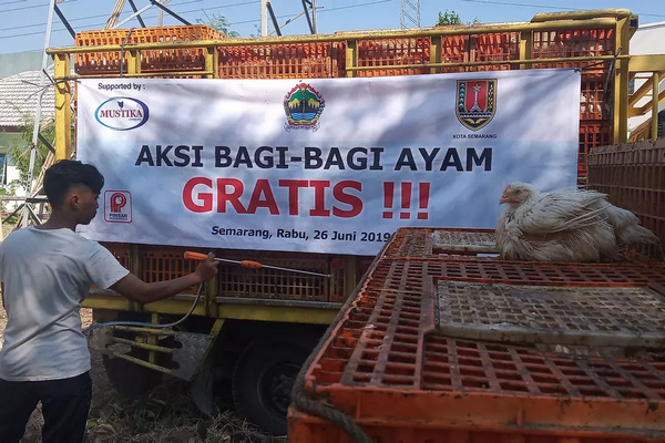 Belasan Ribu Ayam Potong Dibagi-bagikan di Semarang