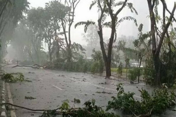 Pohon Tua Makan Korban, Rudy Cibir Pegiat Lingkungan