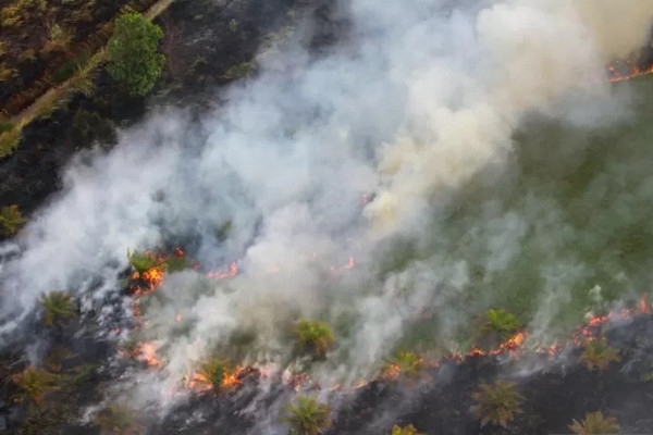 Kebakaran di Gunung Slamet Berhasil Ditangani