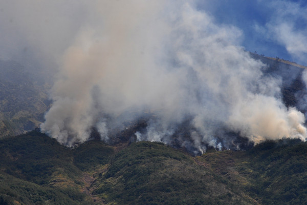 Gunung Sumbing Kebakaran Lagi, 134 Pendaki Dievakuasi