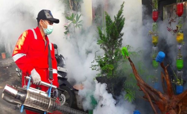 Dinkes Temanggung Tetapkan KLB Demam Berdarah Dengue di Enam Kelurahan