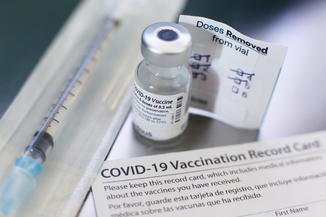 Pemerintah Verifikasi Vaksinasi Kedatangan Internasional Lewat Website
