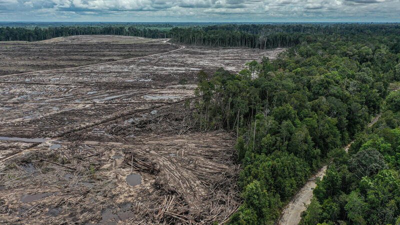 Greenpeace Sebut Indoneisa Tidak Ada Komitmen Serius Tangani Perubahan Iklim