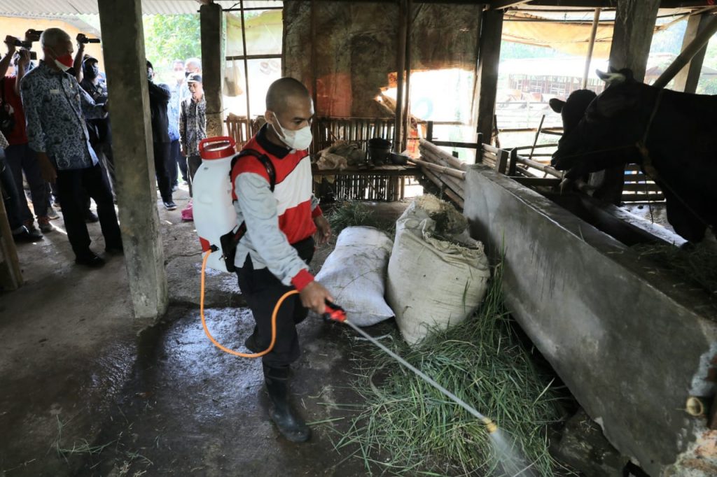 Penyakit Mulut dan Kuku Ditemukan di 13 Daerah, Pemprov Jateng Berikan Pendampingan Peternak