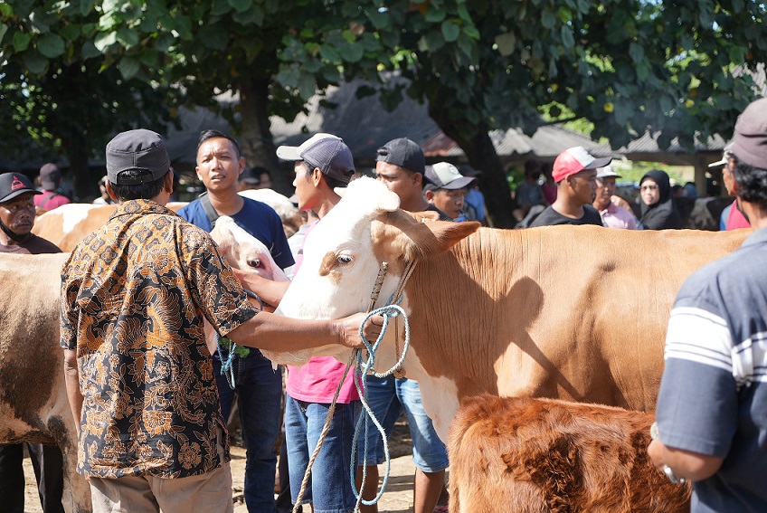 Pemkab Klaten Perpanjang Tutup Pasar Hewan hingga 28 Juni