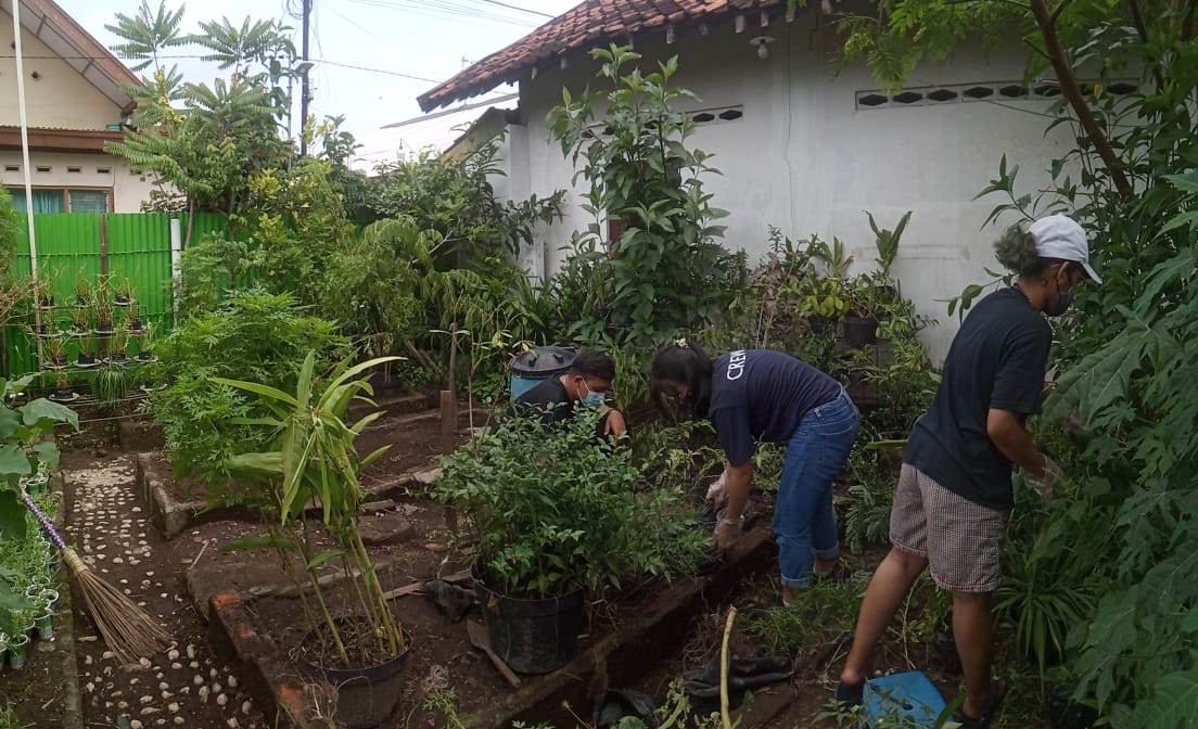Kembangkan Lahan Pertanian Perkotaan, Pemkot Yogyakarta Miliki 115 Kampung Sayur