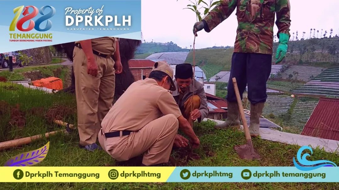 Konservasi Lahan Kritis, DPRKPLH Temanggung Salurkan 1.065 Bibit di Desa Campurejo