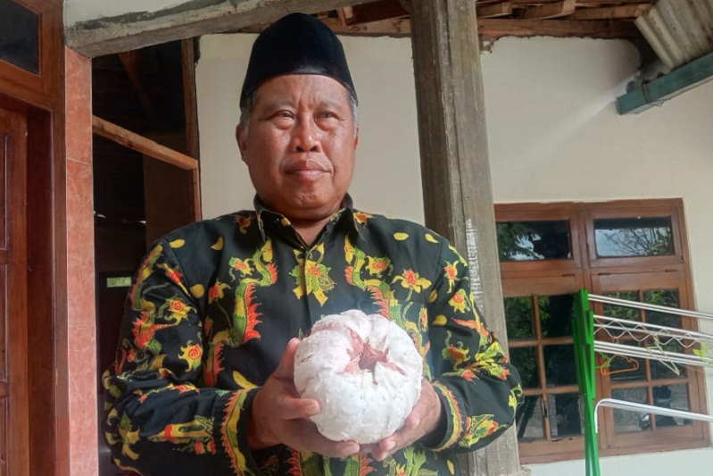 Anggota DPRD Kabupaten Pati pamer keunggulan jeruk pamelo