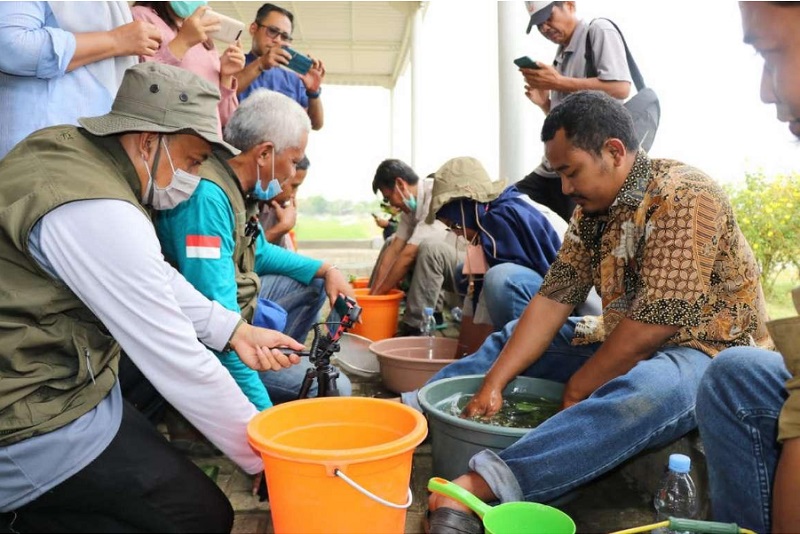 M Nur Sukarno bujuk petani Kabupaten Pati gunakan Pupuk Biosaka